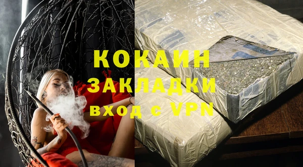 шишки Саяногорск