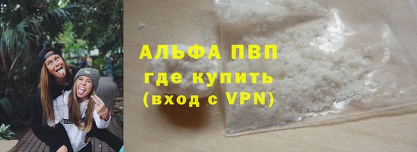 шишки Саяногорск