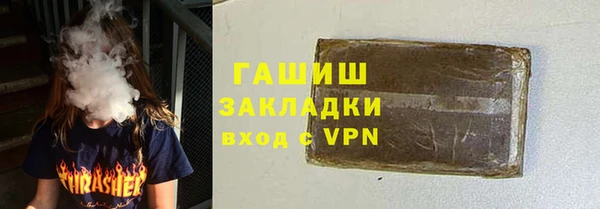 шишки Саяногорск