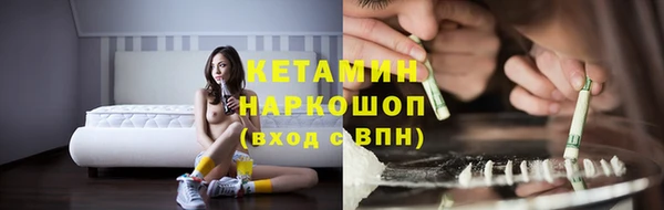 шишки Саяногорск