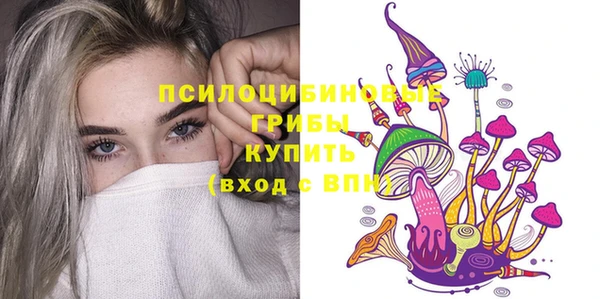 шишки Саяногорск
