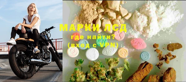 шишки Саяногорск