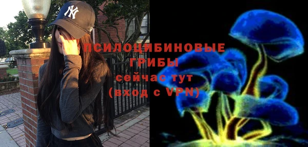 шишки Саяногорск