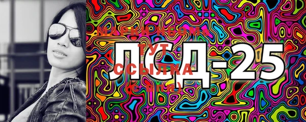 шишки Саяногорск