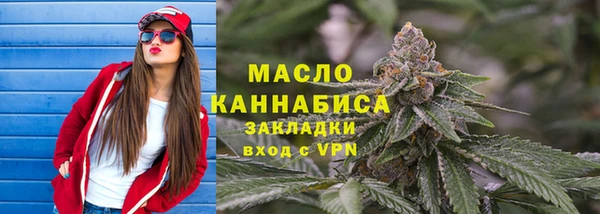 шишки Саяногорск