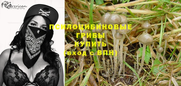 гидра Сатка