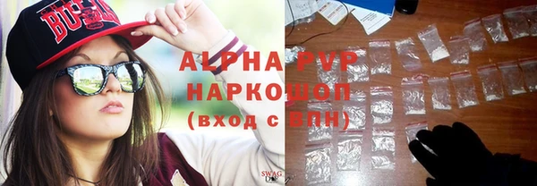 шишки Саяногорск